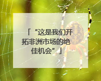“这是我们开拓非洲市场的绝佳机会”