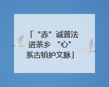 “赤”诚普法进茶乡 “心”系古镇护文脉