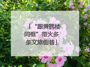 “跟黄鹤楼同框”带火多条文旅街巷