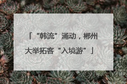 “韩流”涌动，郴州大举拓客“入境游”