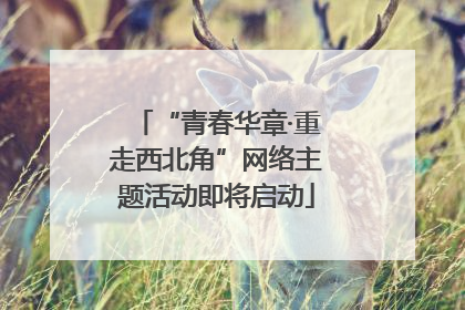 “青春华章·重走西北角”网络主题活动即将启动
