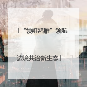 “领群鸿雁”领航边境共治新生态