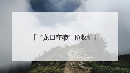 “龙口夺粮”抢收忙