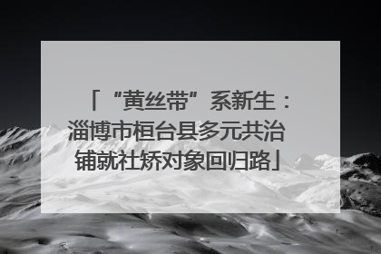 “黄丝带”系新生：淄博市桓台县多元共治铺就社矫对象回归路