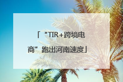 “TIR+跨境电商”跑出河南速度