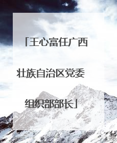 王心富任广西壮族自治区党委组织部部长