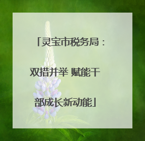 灵宝市税务局：双措并举 赋能干部成长新动能