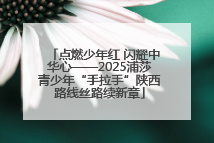点燃少年红 闪耀中华心——2025浦莎青少年“手拉手”陕西路线丝路续新章