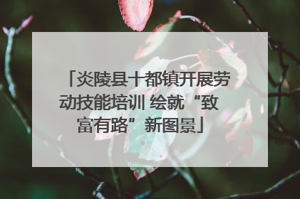 炎陵县十都镇开展劳动技能培训 绘就“致富有路”新图景