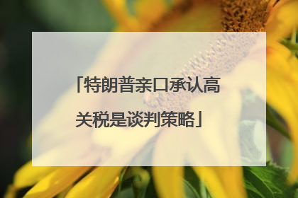 特朗普亲口承认高关税是谈判策略