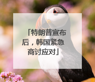 特朗普宣布后，韩国紧急商讨应对