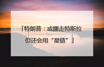 特朗普：或挪走特斯拉 但还会用“星链”
