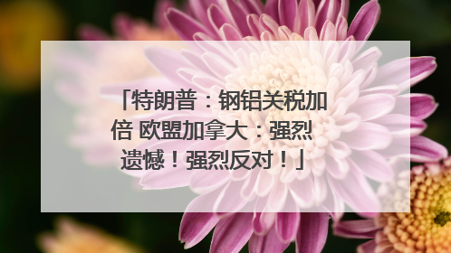 特朗普：钢铝关税加倍 欧盟加拿大：强烈遗憾！强烈反对！