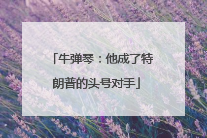 牛弹琴：他成了特朗普的头号对手