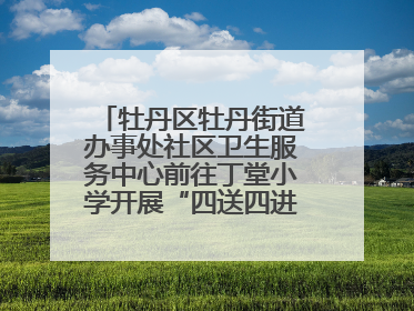 牡丹区牡丹街道办事处社区卫生服务中心前往丁堂小学开展“四送四进四提升”及无烟日宣传活动