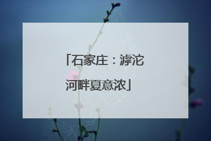 石家庄：滹沱河畔夏意浓