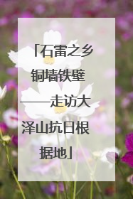 石雷之乡 铜墙铁壁——走访大泽山抗日根据地