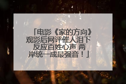 电影《家的方向》观影后网评催人泪下 反应百姓心声 两岸统一成最强音！