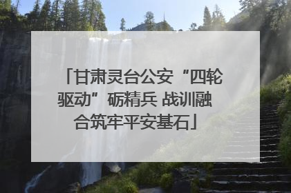 甘肃灵台公安“四轮驱动”砺精兵 战训融合筑牢平安基石