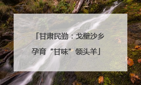 甘肃民勤：戈壁沙乡孕育“甘味”领头羊