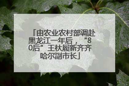 由农业农村部调赴黑龙江一年后，“80后”王杕履新齐齐哈尔副市长