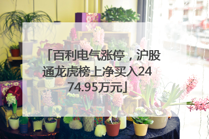百利电气涨停，沪股通龙虎榜上净买入2474.95万元