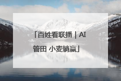 百姓看联播｜AI管田 小麦躺赢