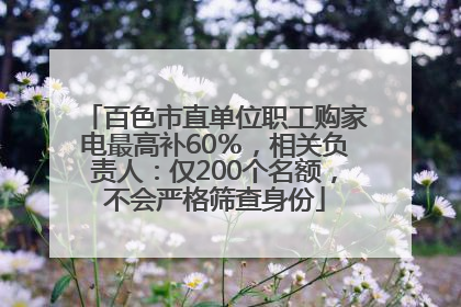 百色市直单位职工购家电最高补60％，相关负责人：仅200个名额，不会严格筛查身份