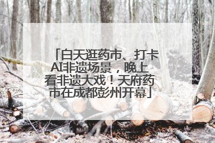 白天逛药市、打卡AI非遗场景，晚上看非遗大戏！天府药市在成都彭州开幕