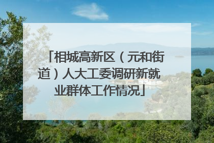 相城高新区（元和街道）人大工委调研新就业群体工作情况
