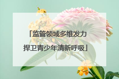 监管领域多维发力 捍卫青少年清新呼吸