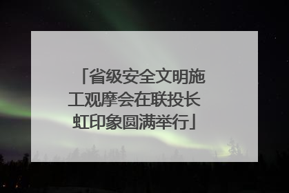 省级安全文明施工观摩会在联投长虹印象圆满举行