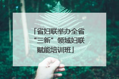 省妇联举办全省“三新”领域妇联赋能培训班