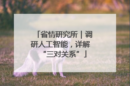 省情研究所｜调研人工智能，详解“三对关系”
