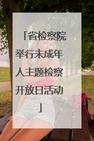 省检察院举行未成年人主题检察开放日活动