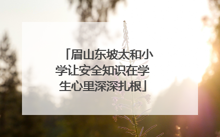 眉山东坡太和小学让安全知识在学生心里深深扎根