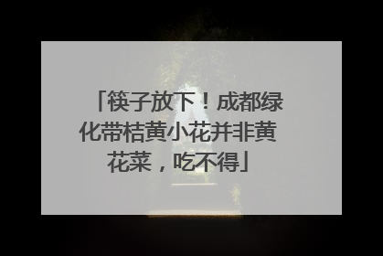 筷子放下！成都绿化带桔黄小花并非黄花菜，吃不得