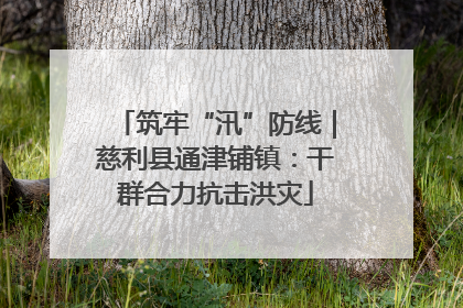 筑牢“汛”防线｜慈利县通津铺镇：干群合力抗击洪灾
