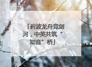 碧波龙舟竞剑河，中英共筑“知音”桥
