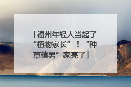 福州年轻人当起了“植物家长”！“种草植男”家亮了