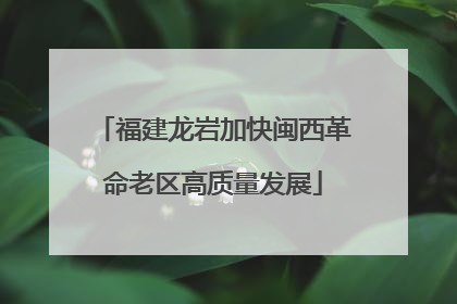 福建龙岩加快闽西革命老区高质量发展