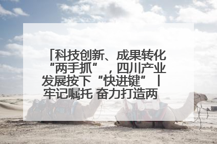 科技创新、成果转化“两手抓”，四川产业发展按下“快进键”丨牢记嘱托 奋力打造两高地两基地一屏障