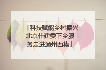 科技赋能乡村振兴 北京住建委下乡服务走进通州西集
