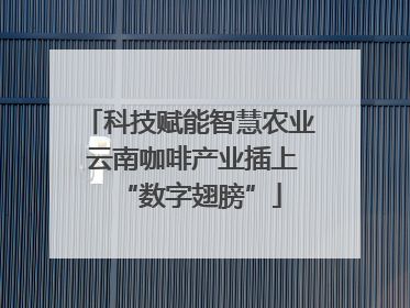 科技赋能智慧农业 云南咖啡产业插上“数字翅膀”