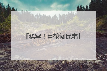 稀罕！巨轮闯民宅
