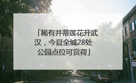 稀有并蒂莲花开武汉，今夏全城28处公园点位可赏荷