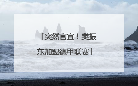 突然官宣！樊振东加盟德甲联赛