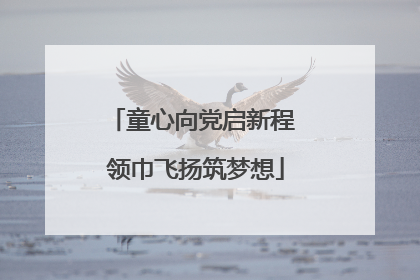 童心向党启新程 领巾飞扬筑梦想