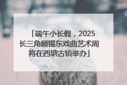端午小长假，2025长三角顾锡东戏曲艺术周将在西塘古镇举办