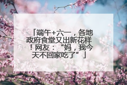 端午+六一，各地政府食堂又出新花样！网友：“妈，我今天不回家吃了”